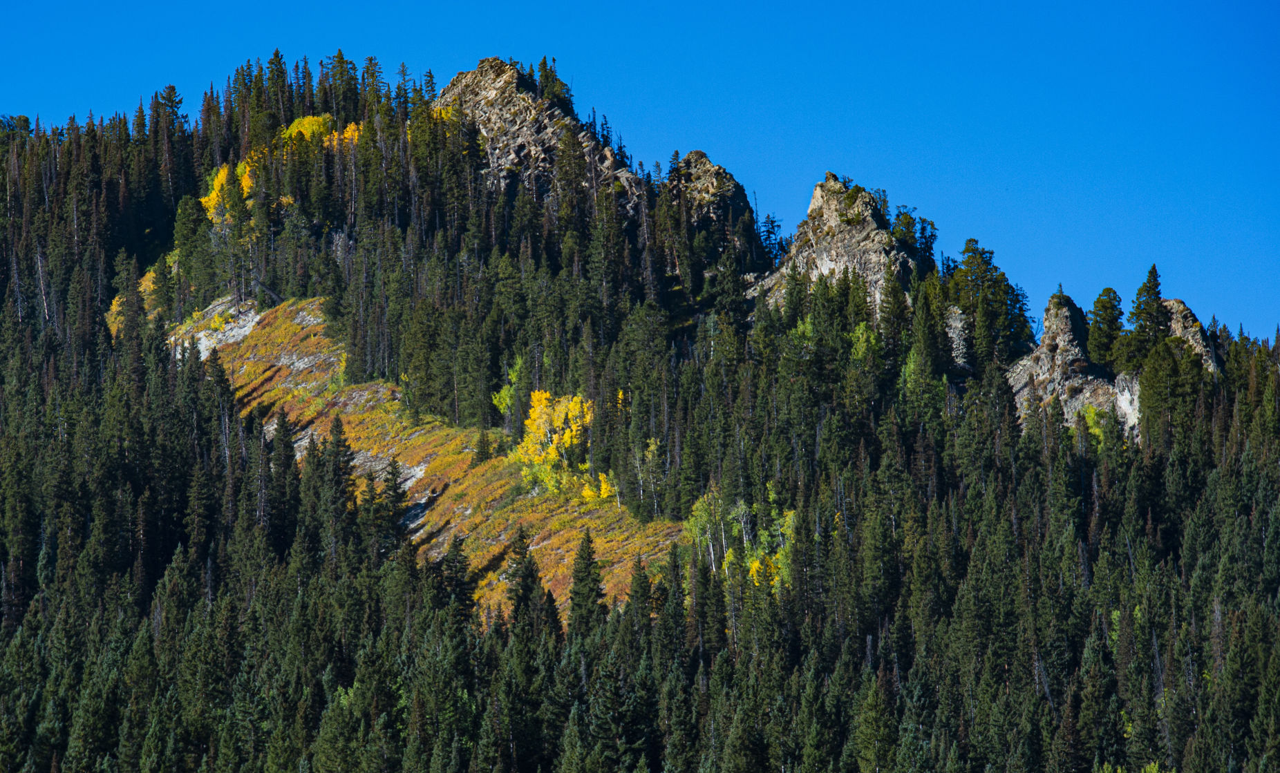 09_25_19 crested butte1704.jpg